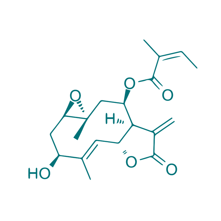 Leptocarpin