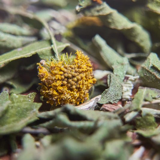 Bulk Herbs